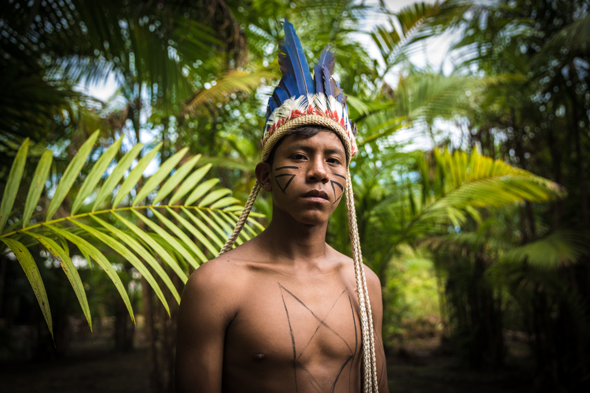 Indigenous man from Tupi Guarani tribe in the jungle, Brazil